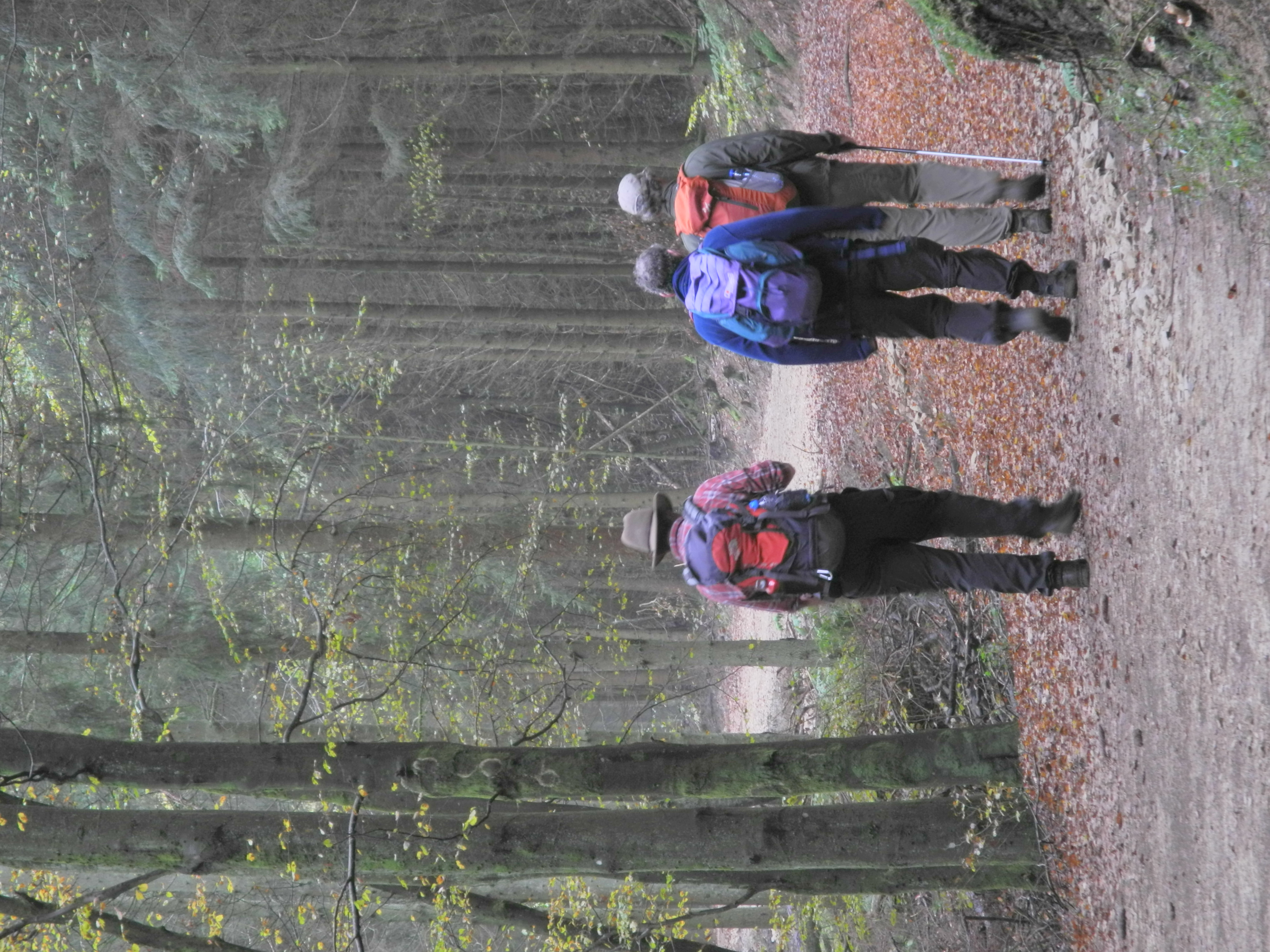 Op stap in het Grenspark