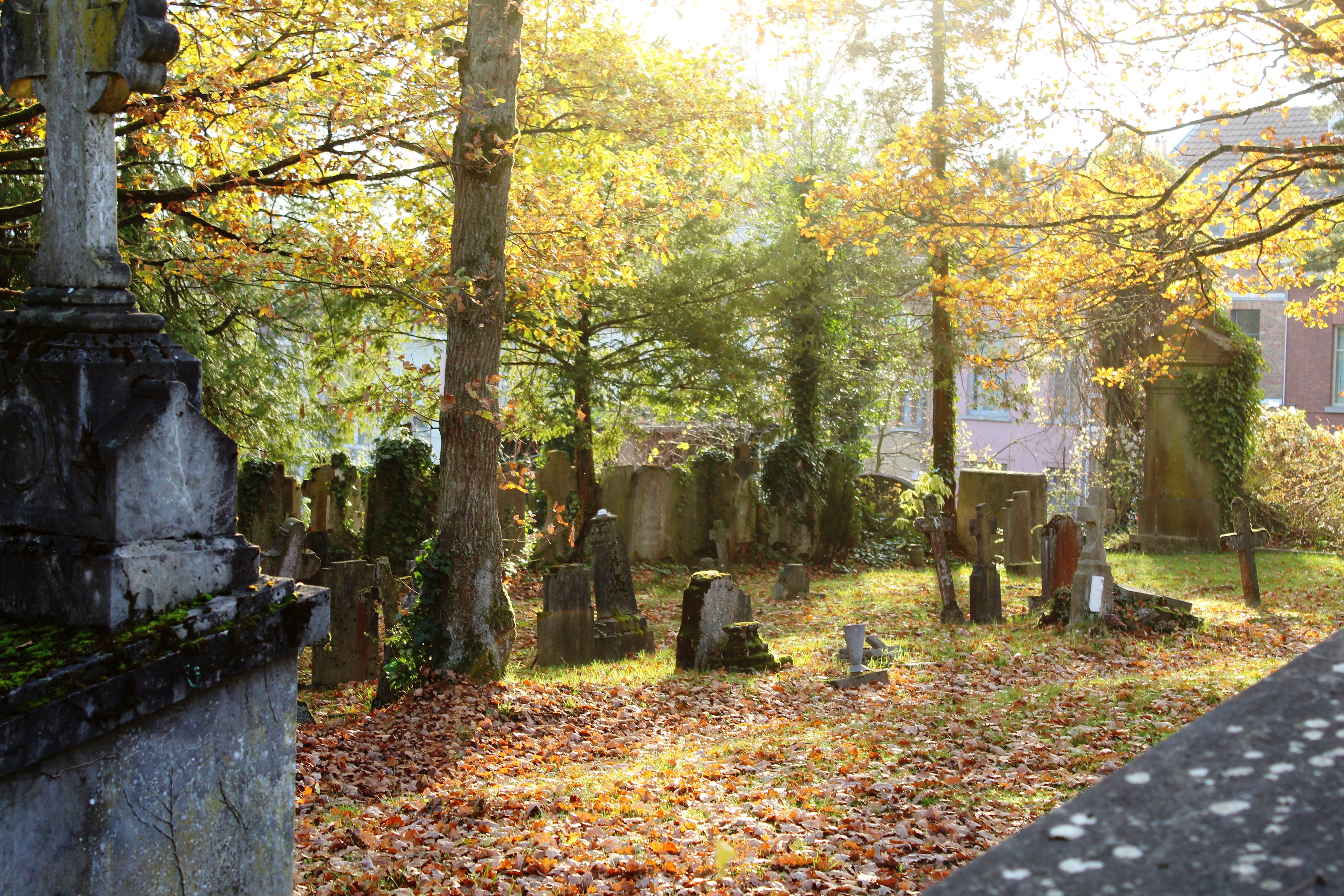 Le cimetière du Dieweg