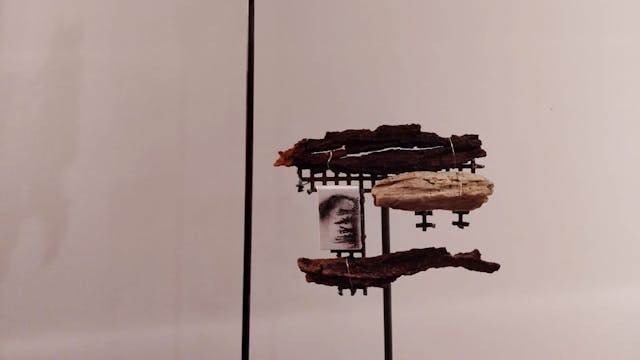 Tentoonstelling De Boog