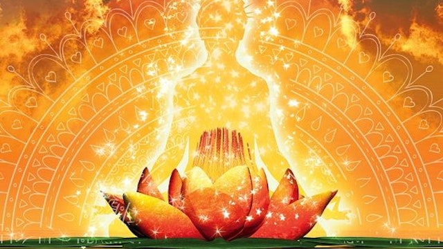lightbody