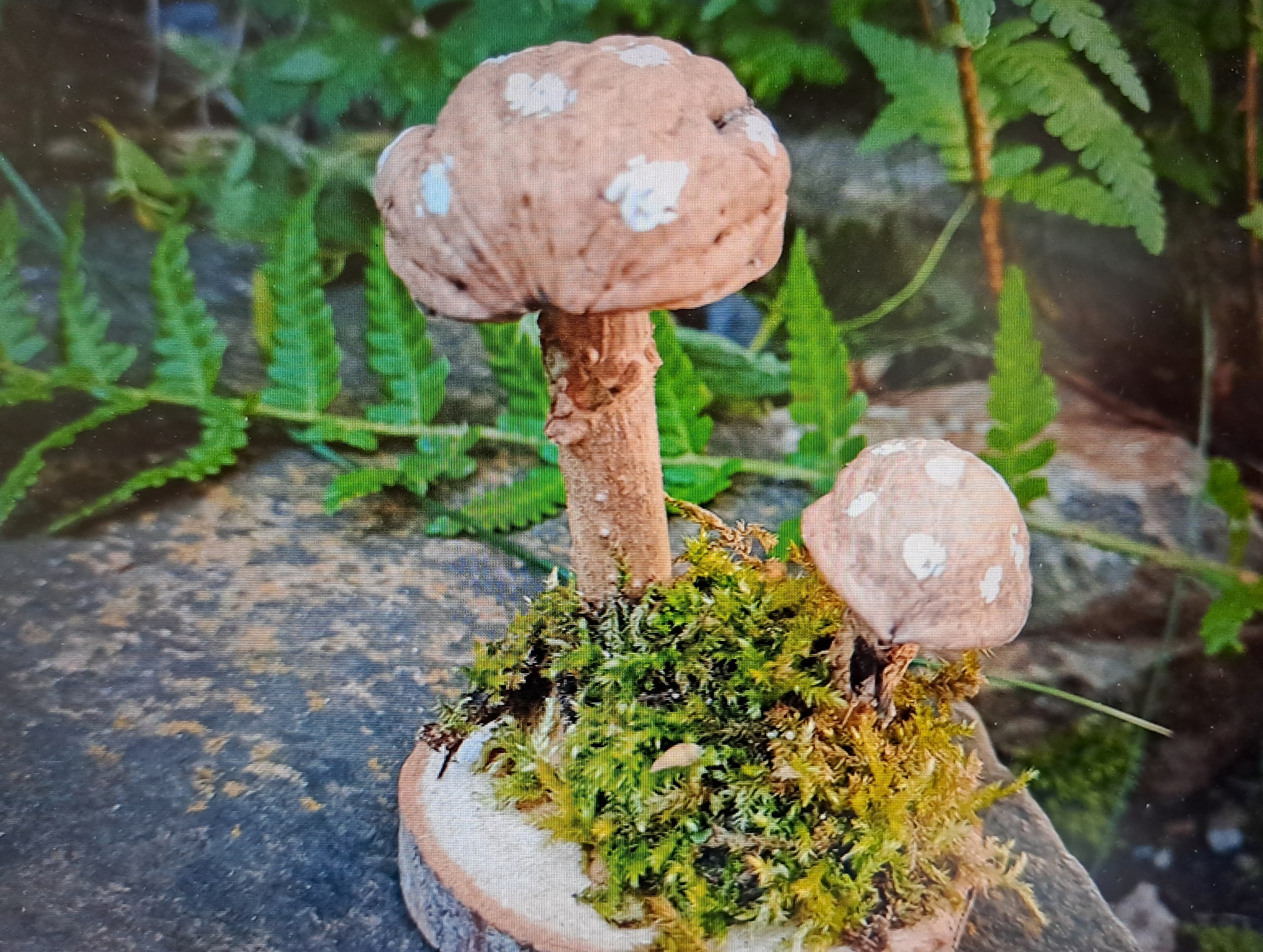 paddenstoelenkunswerkje met boomschijfje, notendop, mos