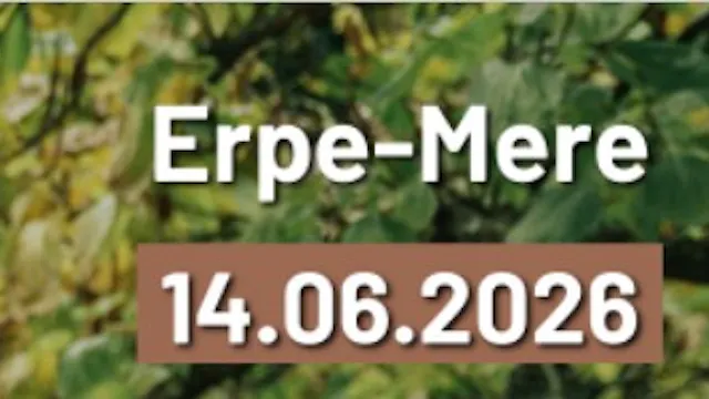Maspoe