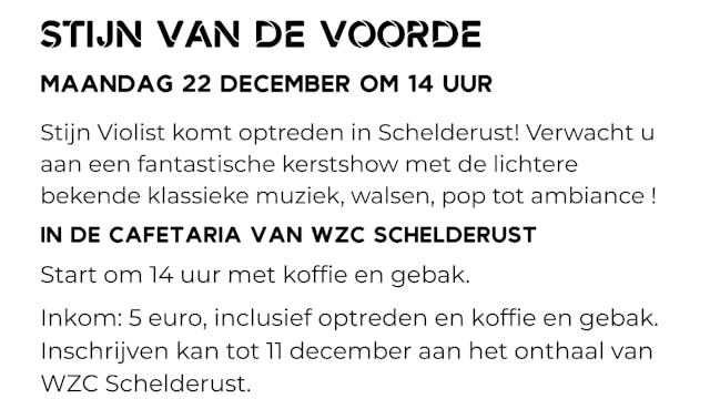 affiche stijn violist