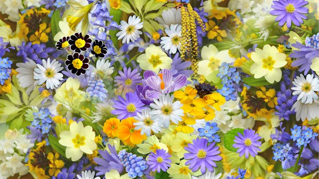 We zijn allemaal anders