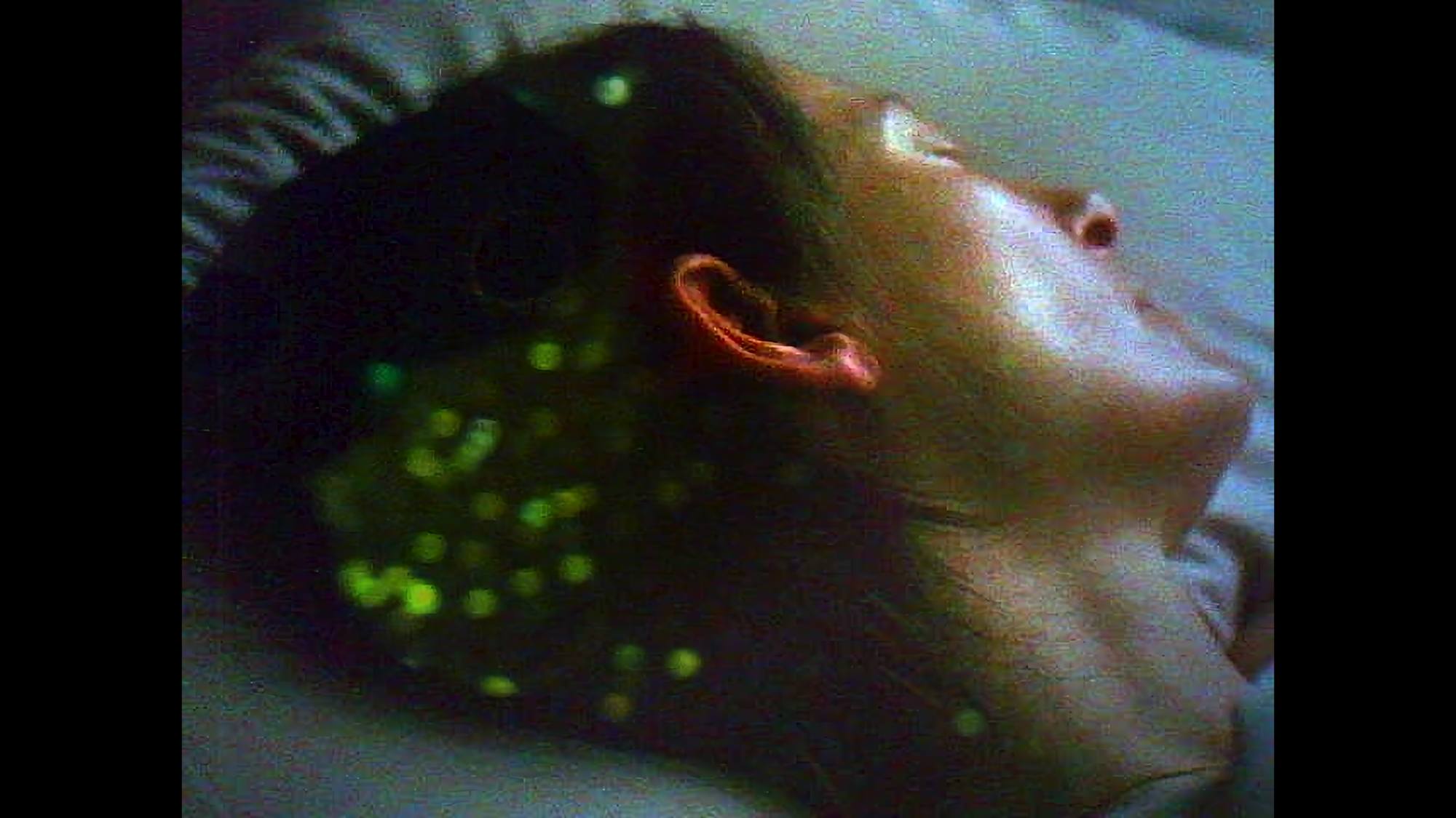 A Flower of Forgetfulness