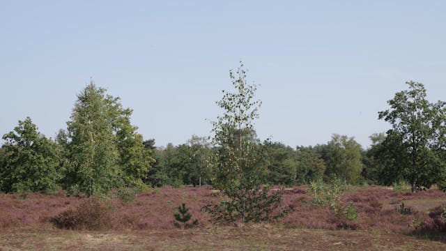 Natuurpunt