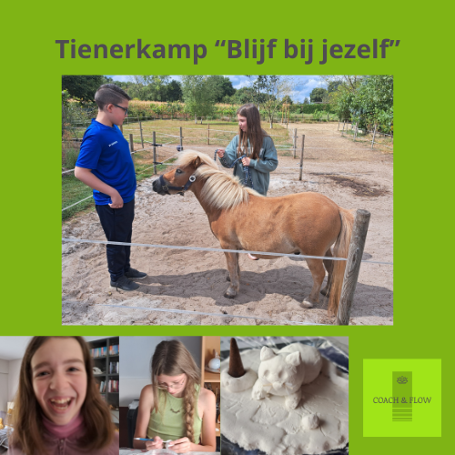 Tienerkamp