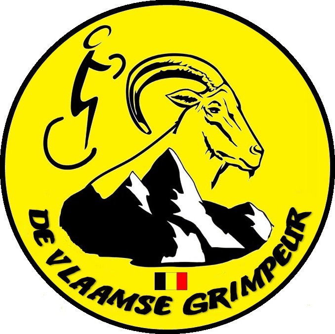 DVG logo