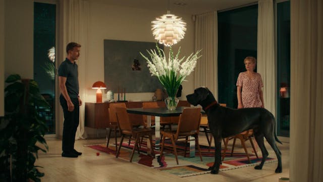 Peacock - Bernhard Wenger