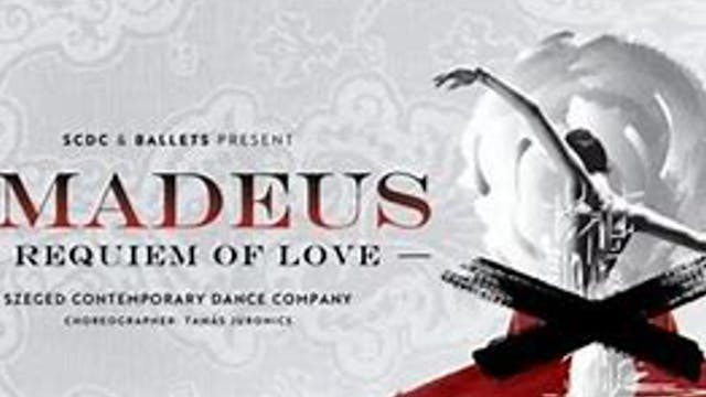 Amadeus