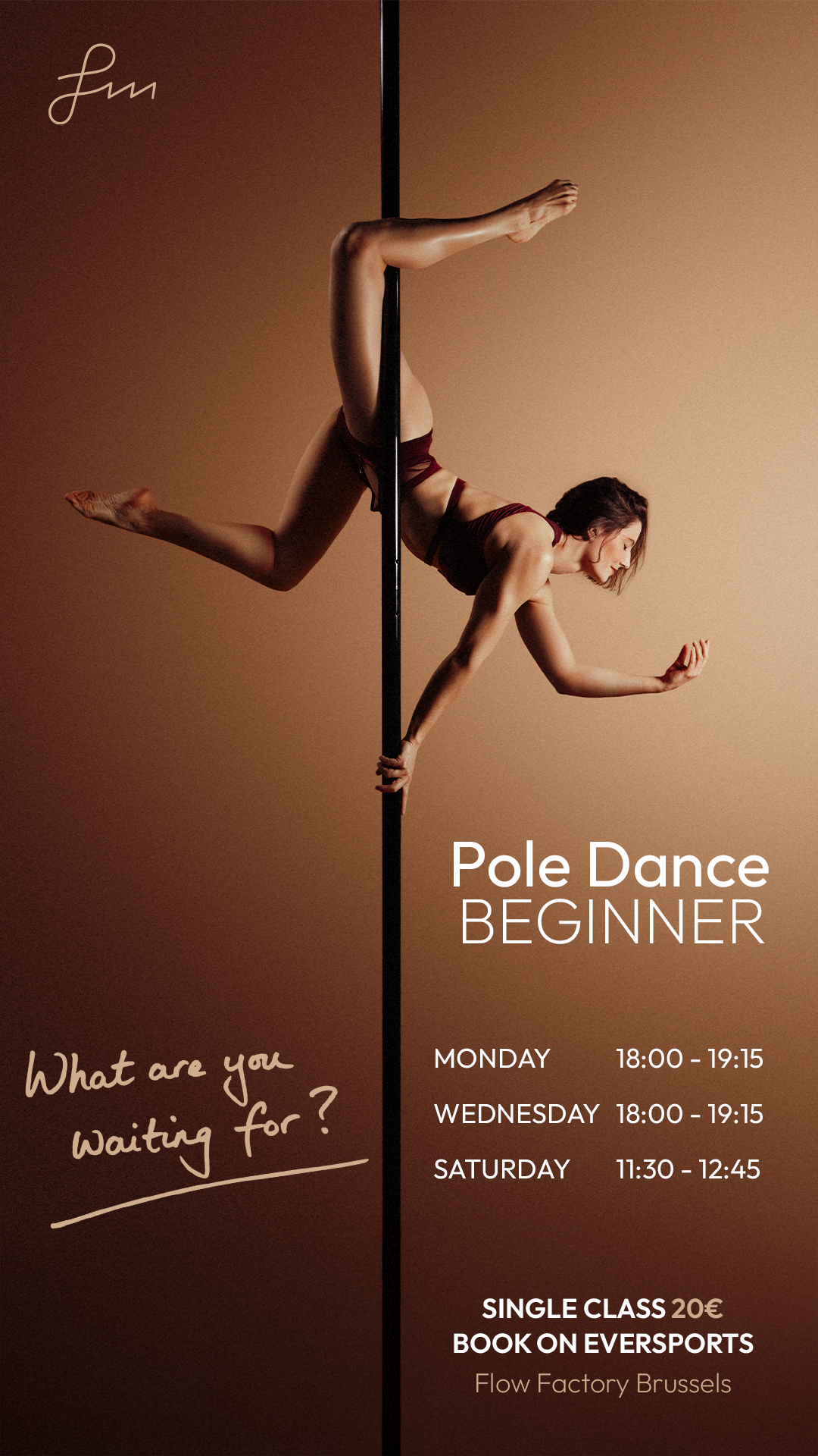 Pole Dance Beginner Lessen