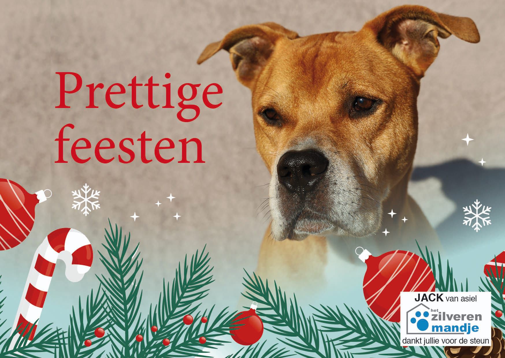 Kerst DRINK en WANDELING