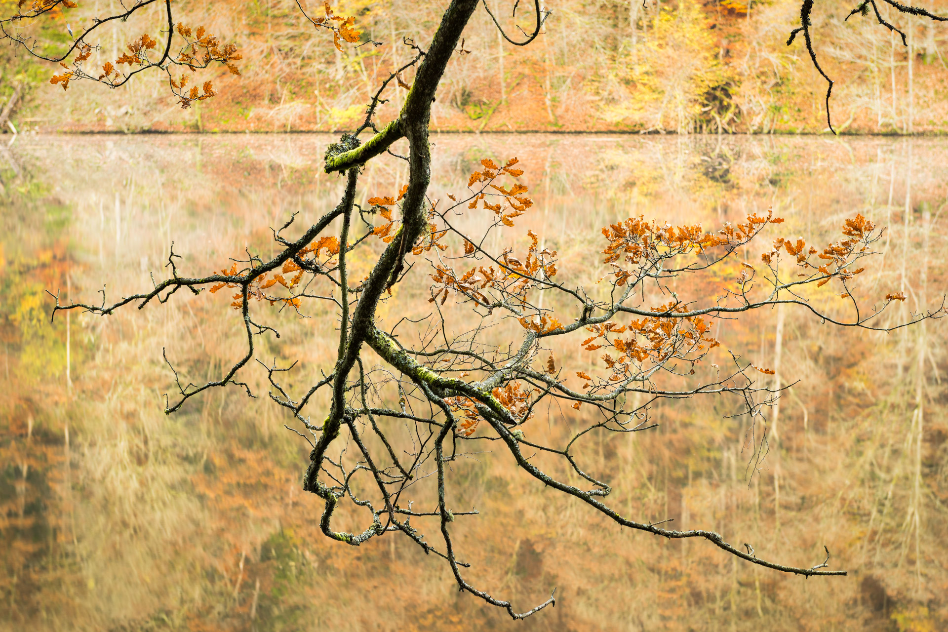 Beginnen met natuurfotografie? Dan is dit jouw kans!