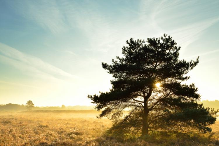 Natuurgebied de Maten