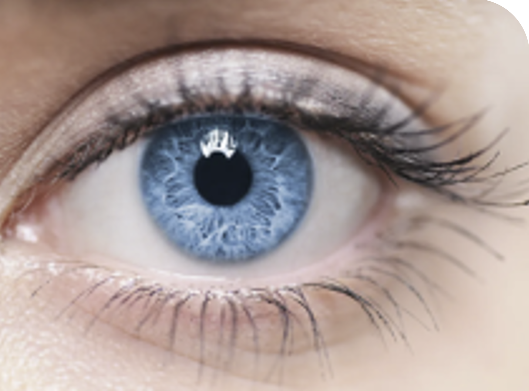 oog bedrog an waarnemingen