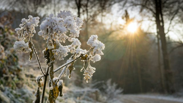 Rouwzorgtraject Contempo