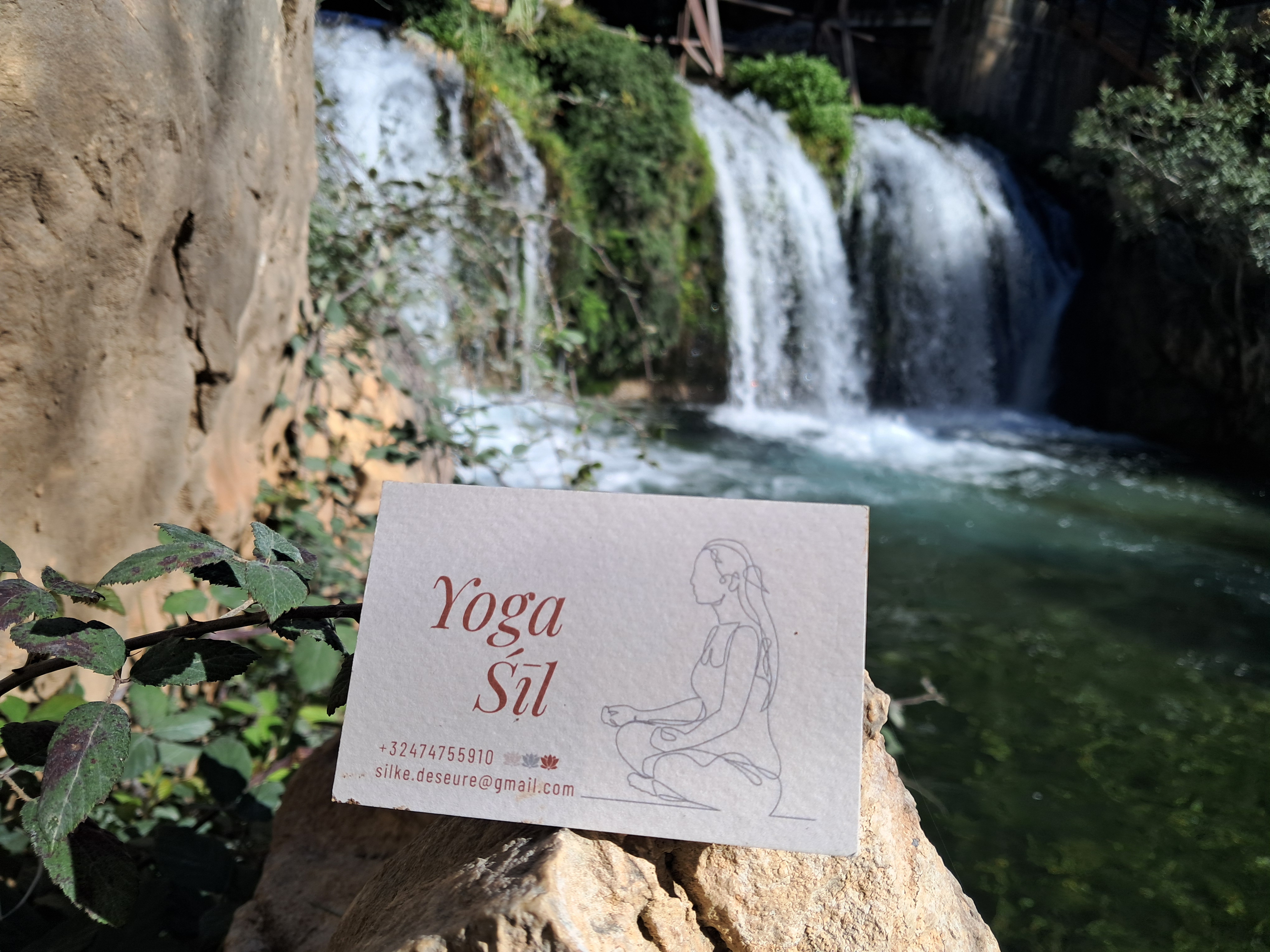 Yoga Hatha Flow met Sil