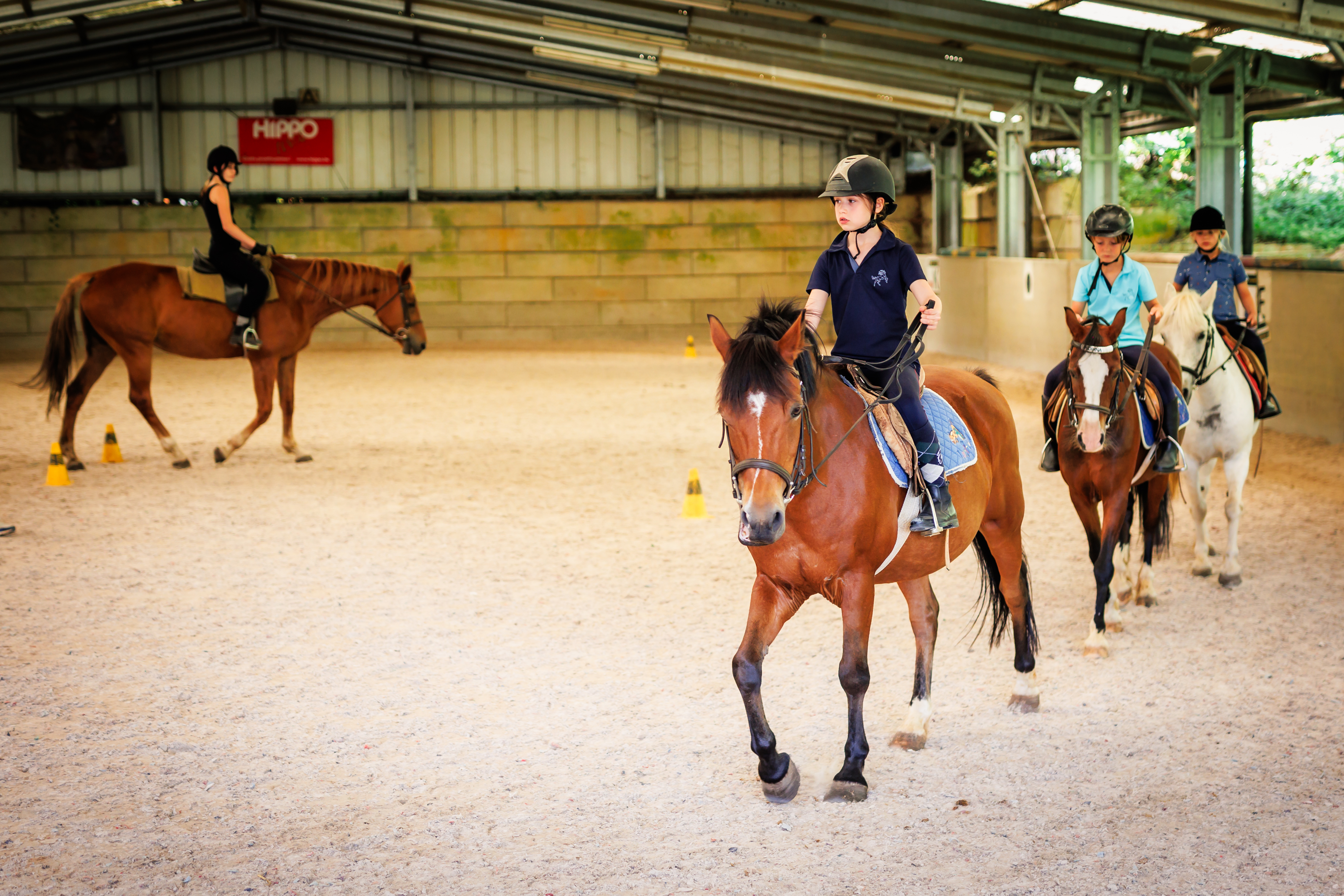 Pony & paardrijden aan zee