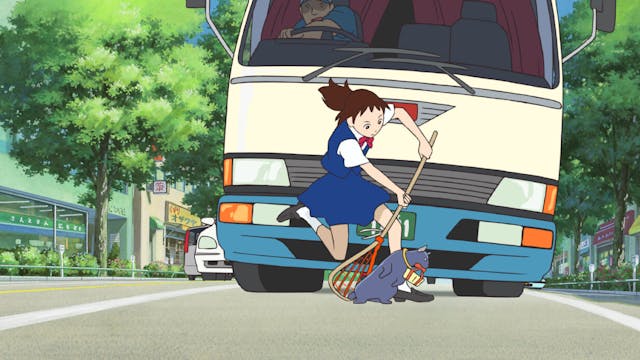 Le Royaume des Chats : VO st FR/NL