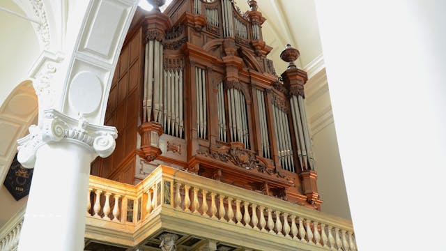 Het Forrest-orgel van de Sint-Stefanuskerk