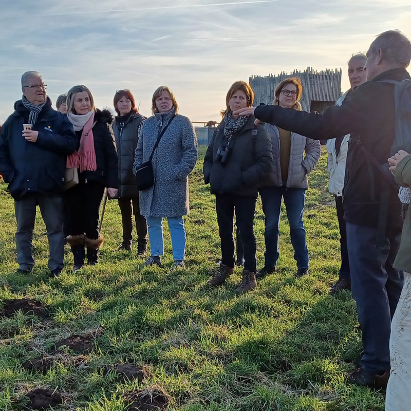 Op stap tijdens de avondwandeling in het Webbekoms Broek