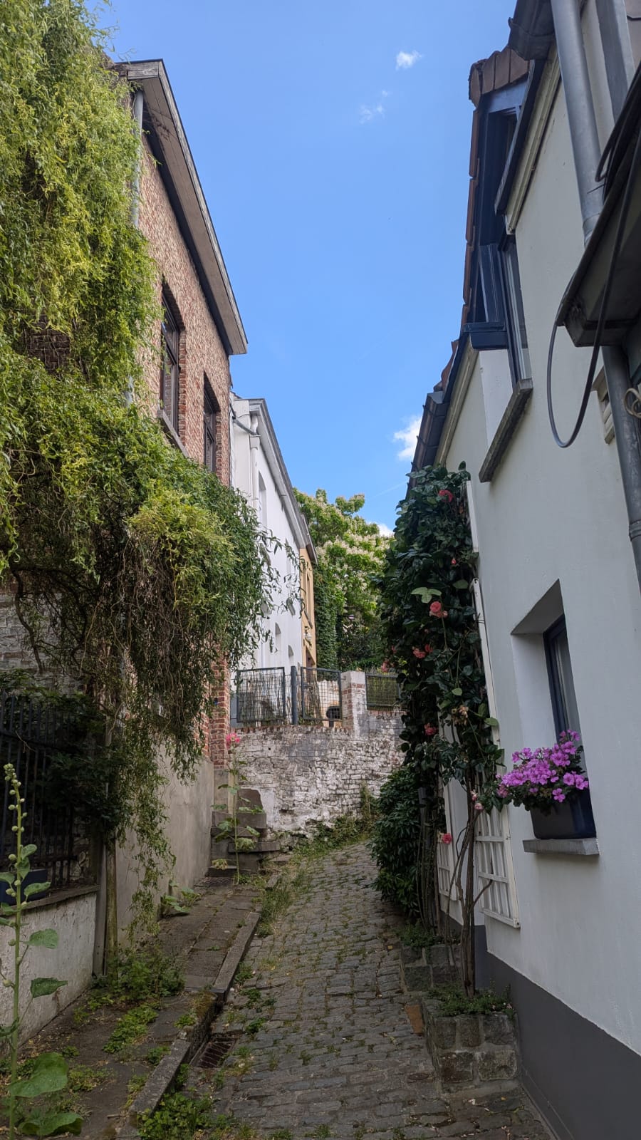 Auderghem : un village en bord de Soignes