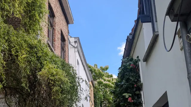 Auderghem : un village en bord de Soignes