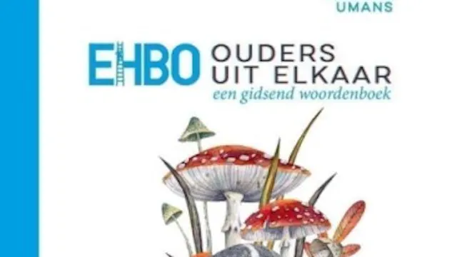 EHBO, ouders uit elkaar