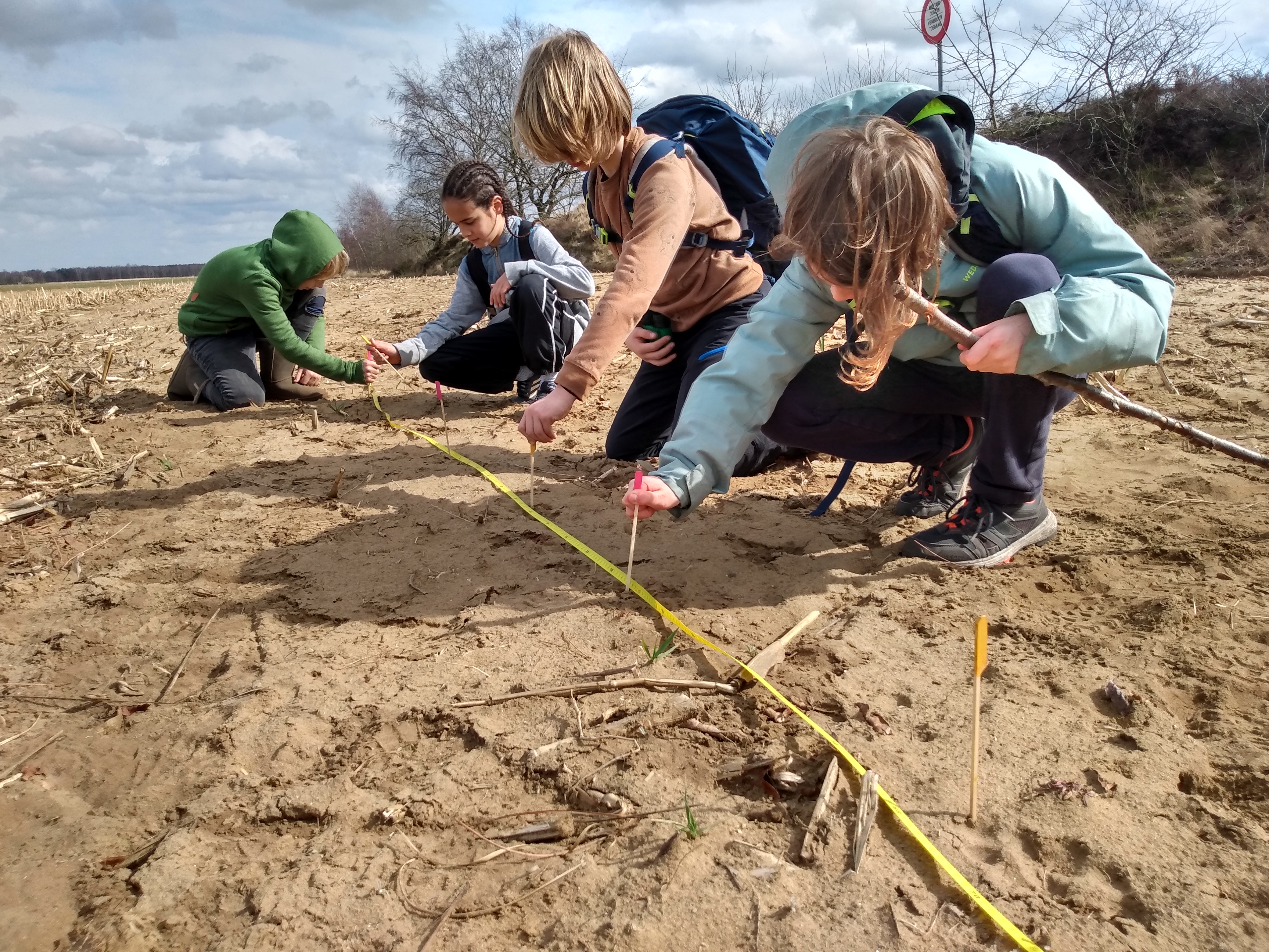 Wolvensporen opmeten