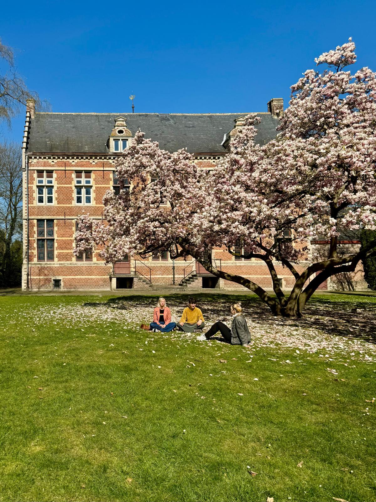 Kasteel Hof d'Intere