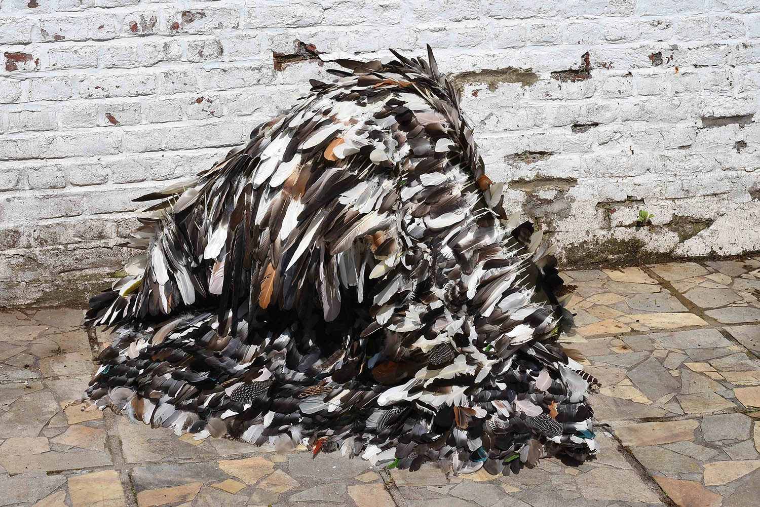 Performance Still a Bird