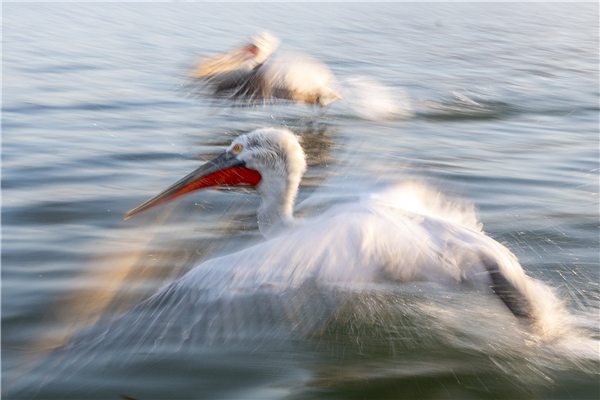 Expo Echoes - Birte Verhaegen