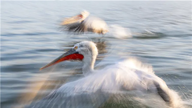 Expo Echoes - Birte Verhaegen