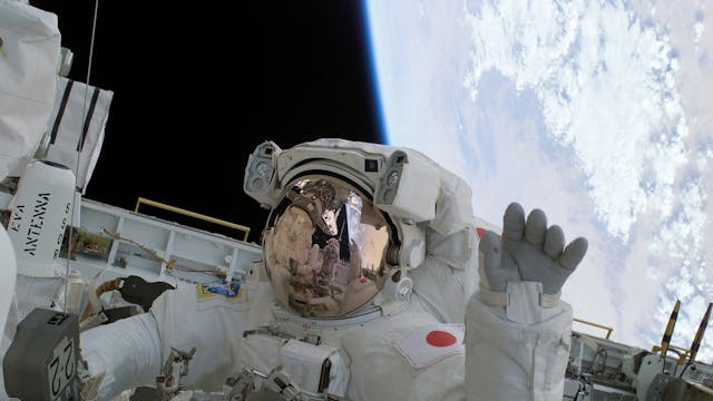 astronaut kattevennen