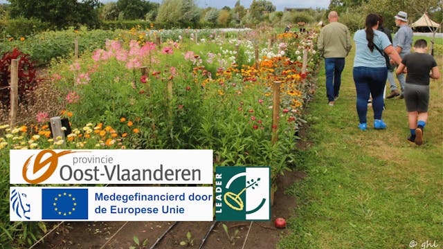 Vrijwilligers op de meewerkdag