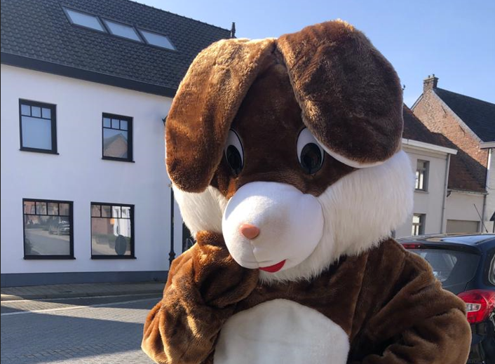 Image for gzbd activity