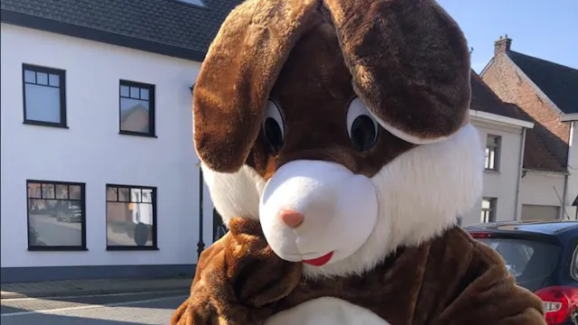 Image for gzbd activity