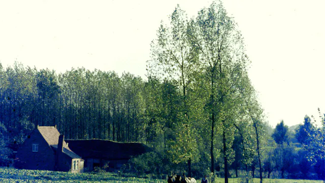 land en hoeve op de rand van het Grootbroek in Elversele