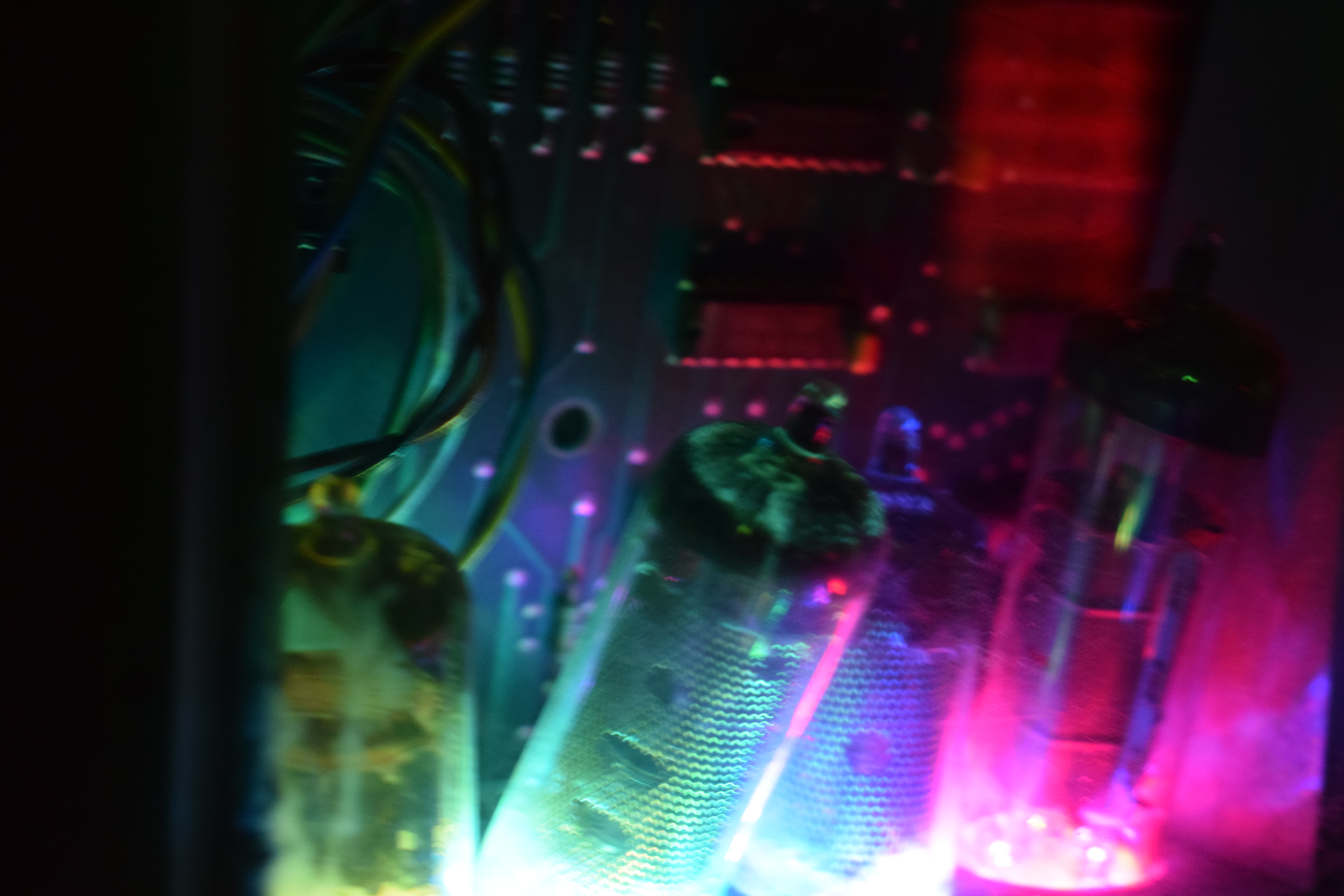 escape room Transforest