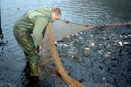 Viskwekerij Vandeput