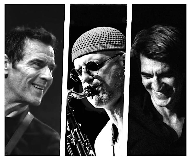 Jazz Trio : Patrick Deltenre, Frank Deruytter, Hervé Martens