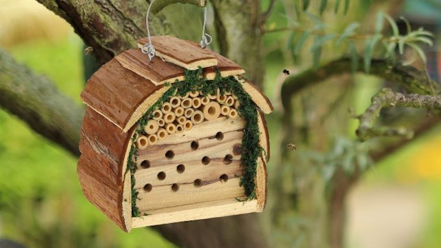 Insectenhotel