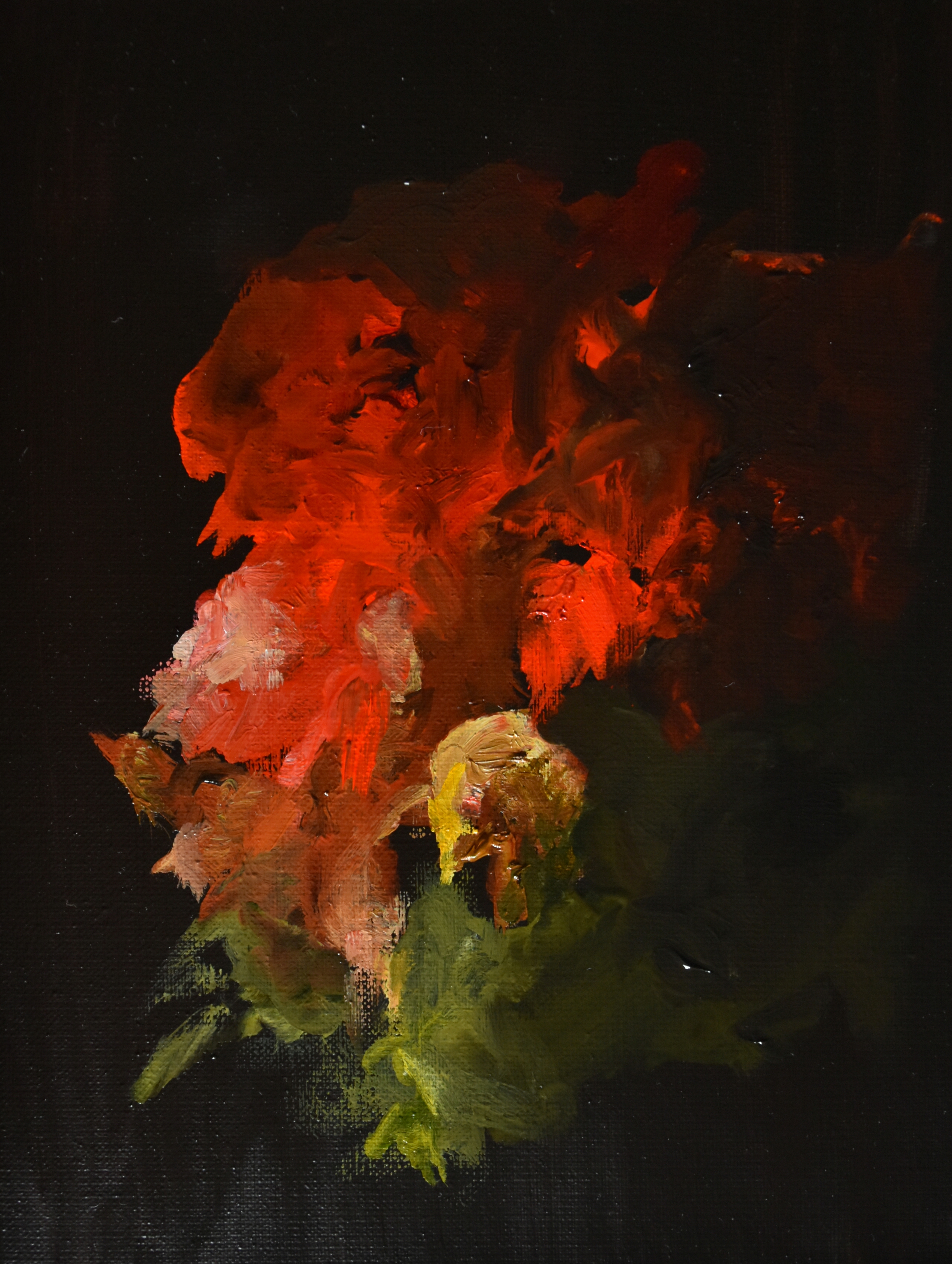 Dahlias and crystals, dismantled