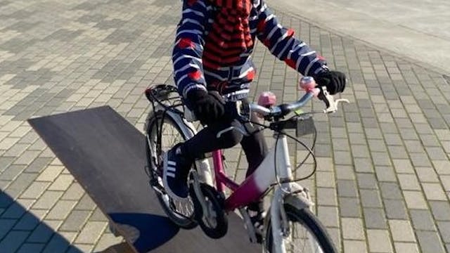 vive le velo