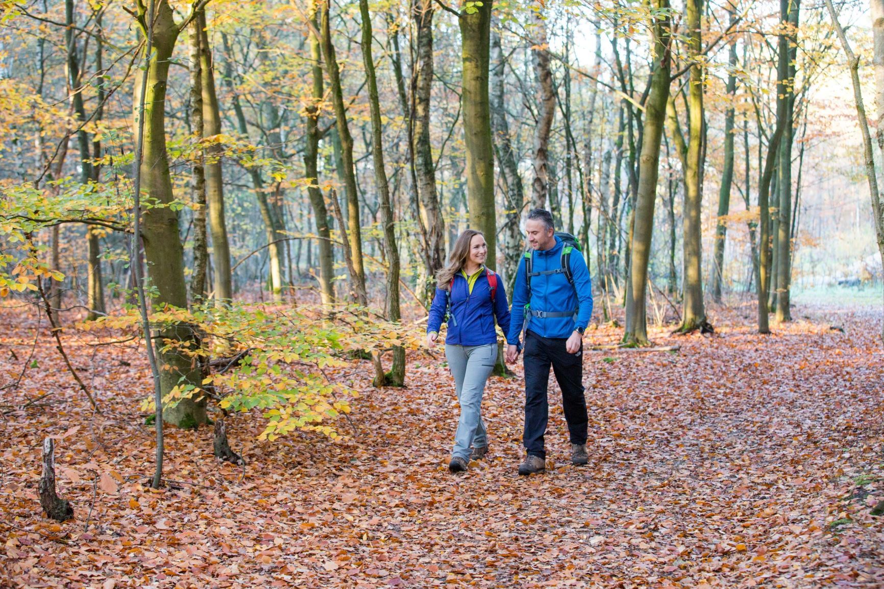 Heesakkerheide herfst