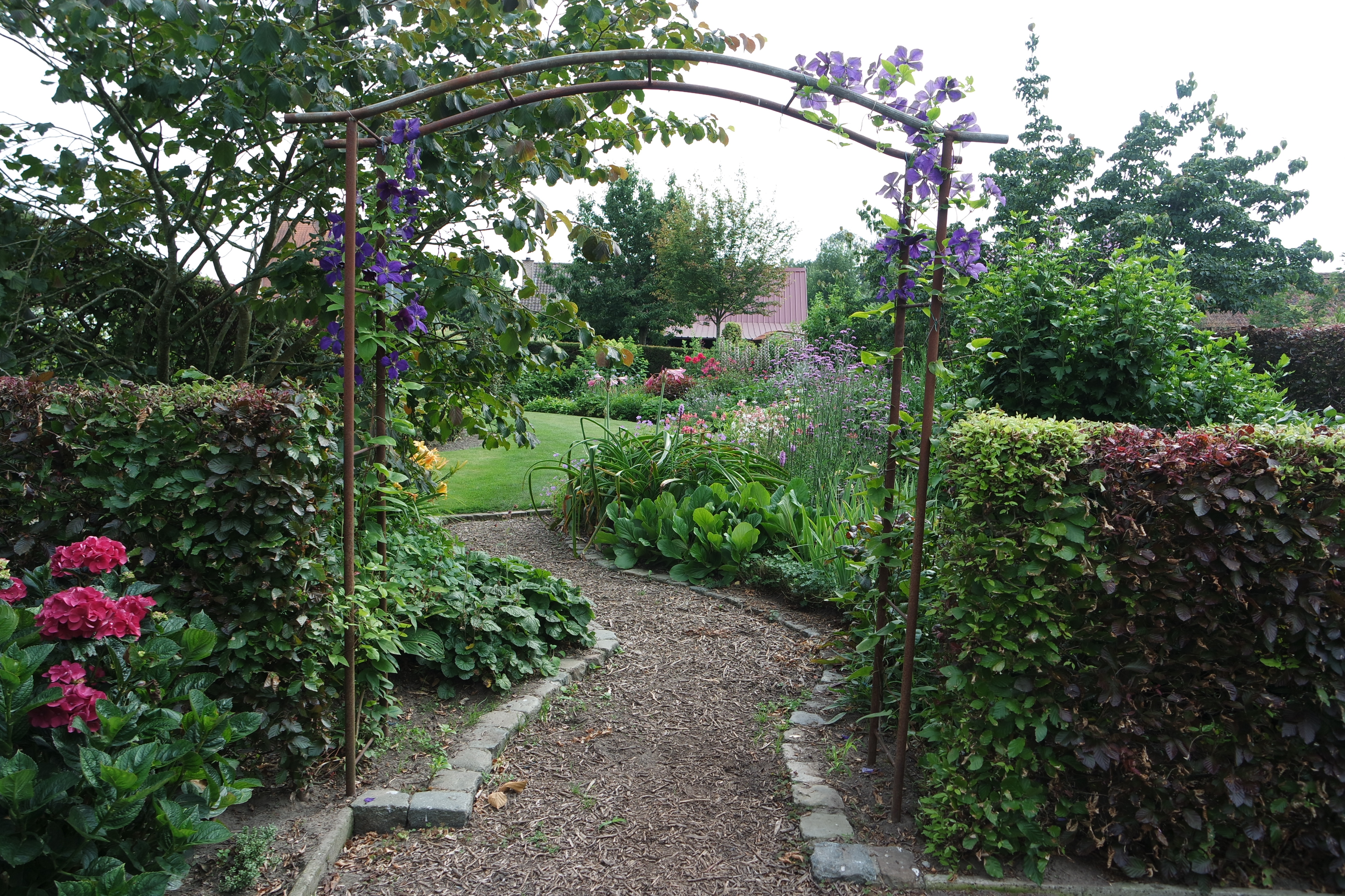 In deze tuin van ongeveer 2300m² ontdekt u een grote verscheidenheid aan heesters, vele vaste planten, twee vijvers en verschillende zithoekjes
