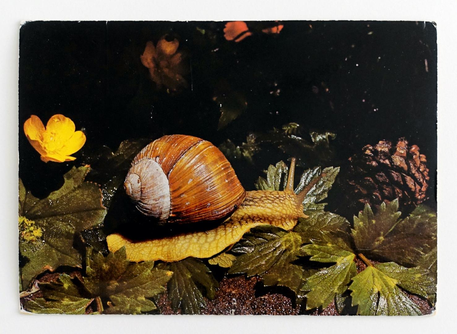 Cinquante-cinq minutes