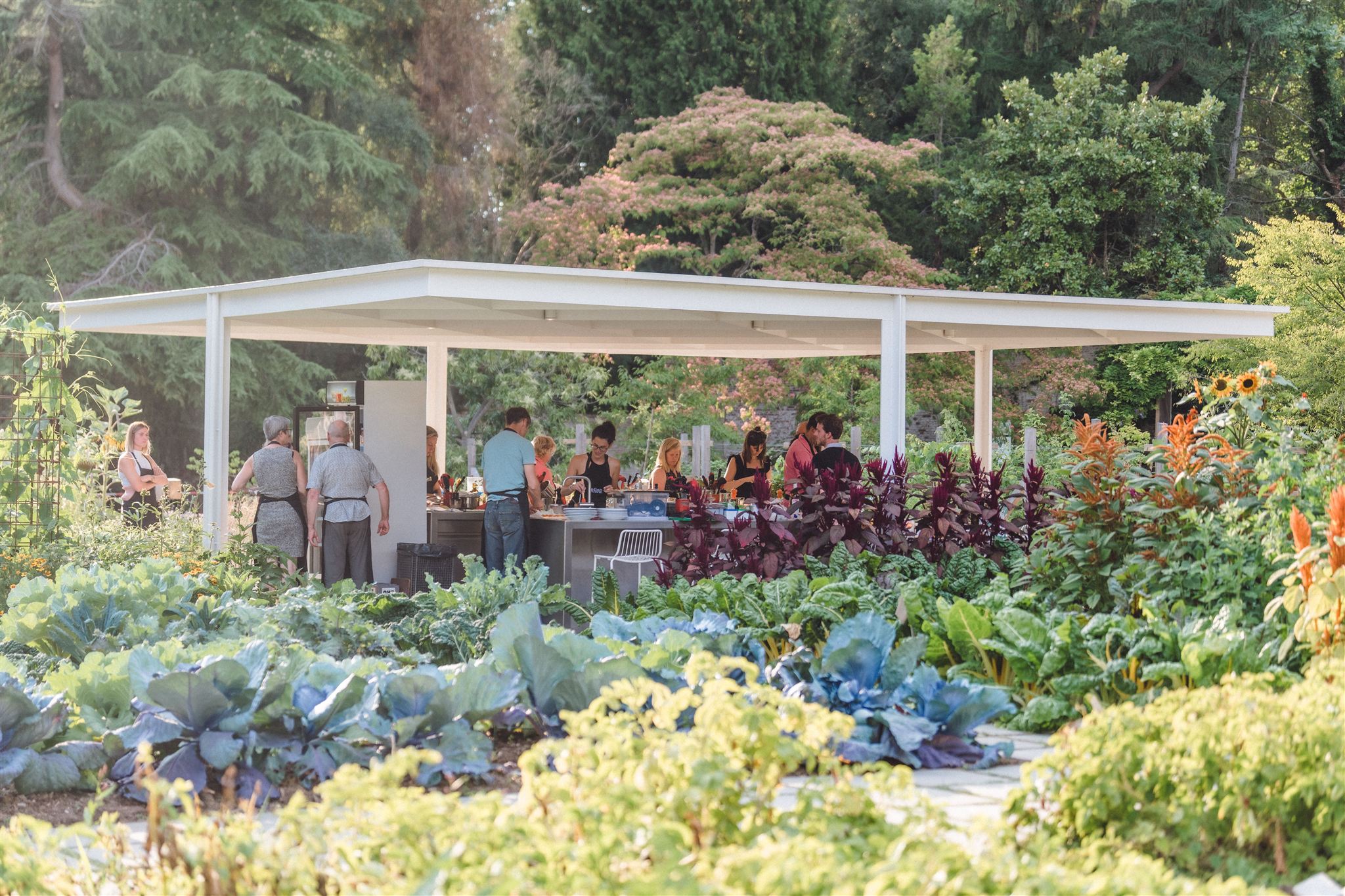 Buitenkeuken tijdens kookworkshop