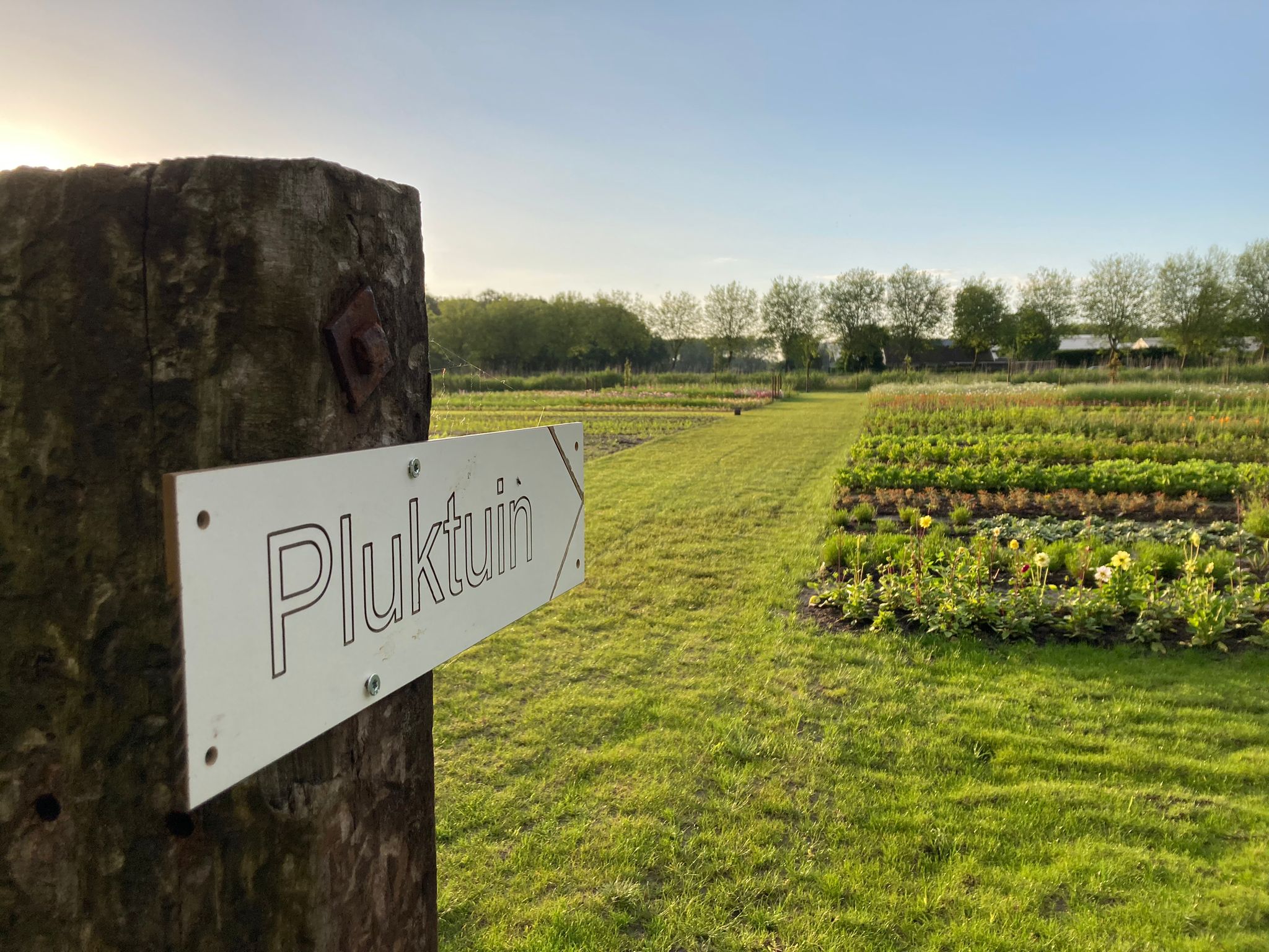 Pluktuin Het Groene Anker