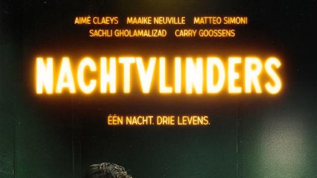 Nachtvlinders